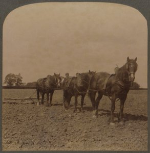 Gazdálkodás Angliában – Harrowing the Land, 1909. alkotó: Unbekannt