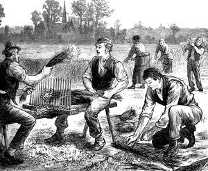 Lenhullámozás, c1880 alkotó: Unbekannt