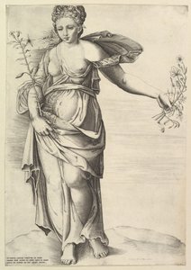 Flóra, kb. 1560-70. alkotó: Unbekannt