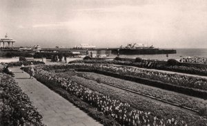 Virágos kertek és a West Pier, Brighton, Sussex, 1938 alkotó: Unbekannt