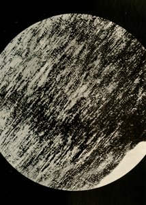 Fosszilis fa homokkőben, egy morénából a déli szélesség 85°-án, 1908, 1909. alkotó: Unbekannt
