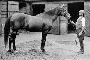 Foxhall, 1880-1904, 1911 alkotó: Unbekannt