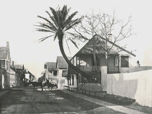 Francis Street, St Augustine, USA, 1895. alkotó: Unbekannt