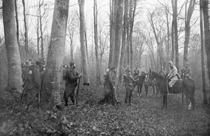 Francia járőrök a franciaországi Argonne-erdőben, 1915 alkotó: Unbekannt