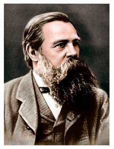 Friedrich Engels, német szocialista, Karl Marx munkatársa és támogatója, 1879 alkotó: Unbekannt
