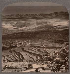 Olajfától a Holt-tengerig, 40 mérföldnyi hulladékon keresztül, 1900 alkotó: Unbekannt