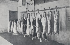 Fagyasztott hús, 1923. alkotó: Unbekannt