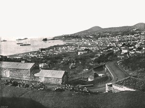 Funchal, Madeira, Portugália általános képe, 1895. alkotó: Unbekannt