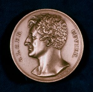 Georges Leopold Chretien Frederic Dagobert, Cuvier báró, francia anatómus, XIX. alkotó: Unbekannt