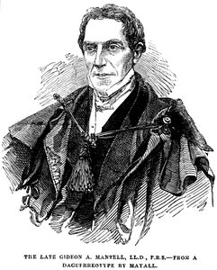 Gideon Algernon Mantell angol geológus, 1852 alkotó: Unbekannt