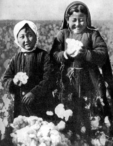 Lányok egy gyapotföldön, Kazahsztán, 1936 alkotó: Unbekannt