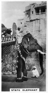 Kormányzati elefánt állami jelmezben, Dél-India, 1925 alkotó: Unbekannt