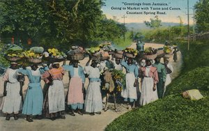 Üdvözlet Jamaicáról. Piacra menni yasszal és vesszővel. Constant Spring Road, 1913. alkotó: Unbekannt