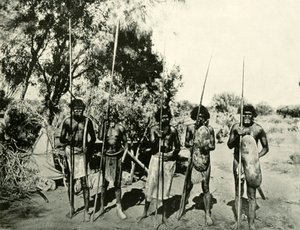 Őslakos férfiak csoportja, Queensland, Ausztrália, 1901. alkotó: Unbekannt