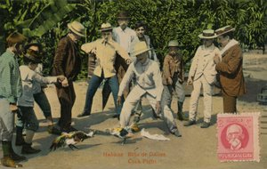 Havanna: Rina de Gallos. Kakasviadal, 1918 alkotó: Unbekannt