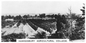 Hawkesbury Agricultural College, Új-Dél-Wales, Ausztrália, 1928 alkotó: Unbekannt