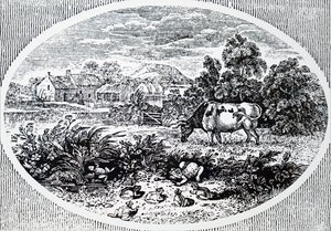 Thomas Bewick fejfedője alkotó: Unbekannt