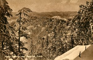 Erős havazás Kasumpti közelében, Shimla, 1918-c1939. alkotó: Unbekannt