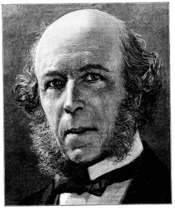 Herbert Spencer angol filozófus és szociológus, 1897 alkotó: Unbekannt