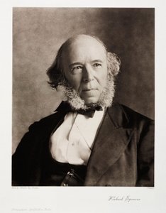 Herbert Spencer angol társadalomfilozófus alkotó: Unbekannt
