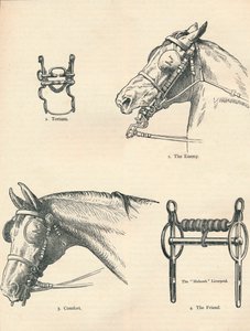 Lódarabok, jó és rossz, c1909 c1910 alkotó: Unbekannt