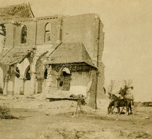 Lovak legelésznek a romtemplom mellett, Frise, Észak-Franciaország, 1914-c1918 alkotó: Unbekannt