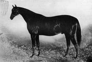 Vendéglátás, 19. század, 1911 alkotó: Unbekannt