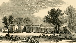 A Carnivora házai, 1876. alkotó: Unbekannt