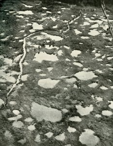 Hogyan akadályozta az időjárás az előrehaladást, 1919. alkotó: Unbekannt