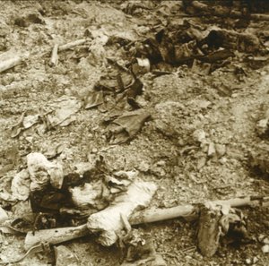 Emberi maradványok, Verdun, Észak-Franciaország, 1914-c1918 alkotó: Unbekannt