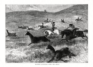 Guanakók vadászata a bolákkal, Dél-Amerika, 1877 alkotó: Unbekannt