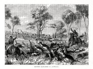 Kenguru vadászata, Ausztrália, 1877 alkotó: Unbekannt