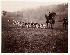 Vadász és vadászkutyák, 1905 alkotó: Unbekannt