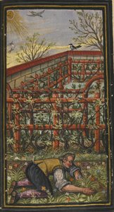 Illusztráció: Az örök élet csodálatos nyári ideje, Jacob Zader, 1603 alkotó: Unbekannt