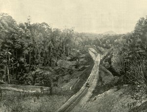 A Blackall-hegységben, 1901. alkotó: Unbekannt