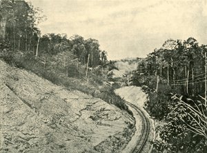 A Blackall-hegységben, 1901. alkotó: Unbekannt