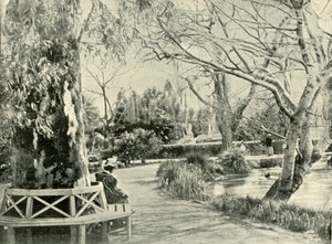 A botanikus kertben, Adelaide, 1901. alkotó: Unbekannt