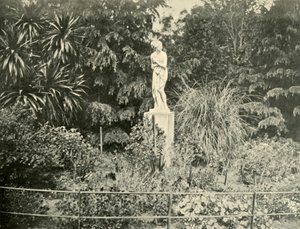A Fitzroy Gardensben, Melbourne, 1901. alkotó: Unbekannt