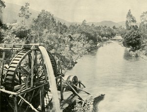 Az Ovens Riverben, Germantown, 1901. alkotó: Unbekannt