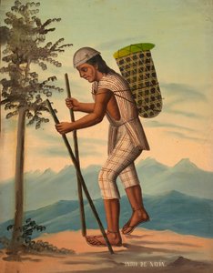 Indio Saparo, 1914 előtt. alkotó: Unbekannt