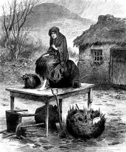 Ír parasztlány, aki a család utolsó néhány vagyonát őrzi, 1886 alkotó: Unbekannt