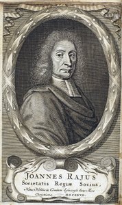 John Ray (Wray), angol természettudós, 1700 körül alkotó: Unbekannt