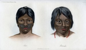Juri és Botocudos, a brasilio-guarani nemzetből, 1848 alkotó: Unbekannt