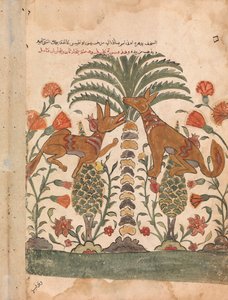 Kalila Upbraiding Dimna, Folio from a Kalila wa Dimna, 18. század. alkotó: Unbekannt
