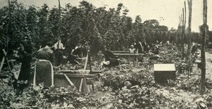 Kent Komló, 1948. alkotó: Unbekannt