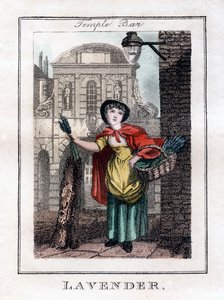 Levendula, Temple Bar, London, 1805 alkotó: Unbekannt