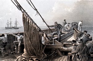 A transzatlanti távírókábel lefektetése, 1865 1866 alkotó: Unbekannt