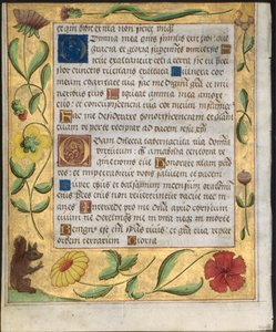 Levél egy zsoltárból és imakönyvből: Díszszegély virágokkal és mókussal verso, c. 1524. alkotó: Unbekannt