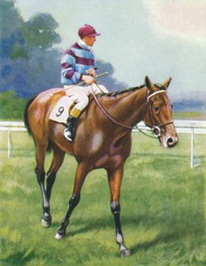 Franciaország legendája, Jockey: A. Richardson, 1939 alkotó: Unbekannt