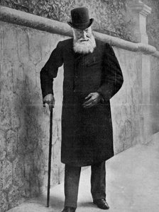 Lipót, a belgák királya, 1909 alkotó: Unbekannt